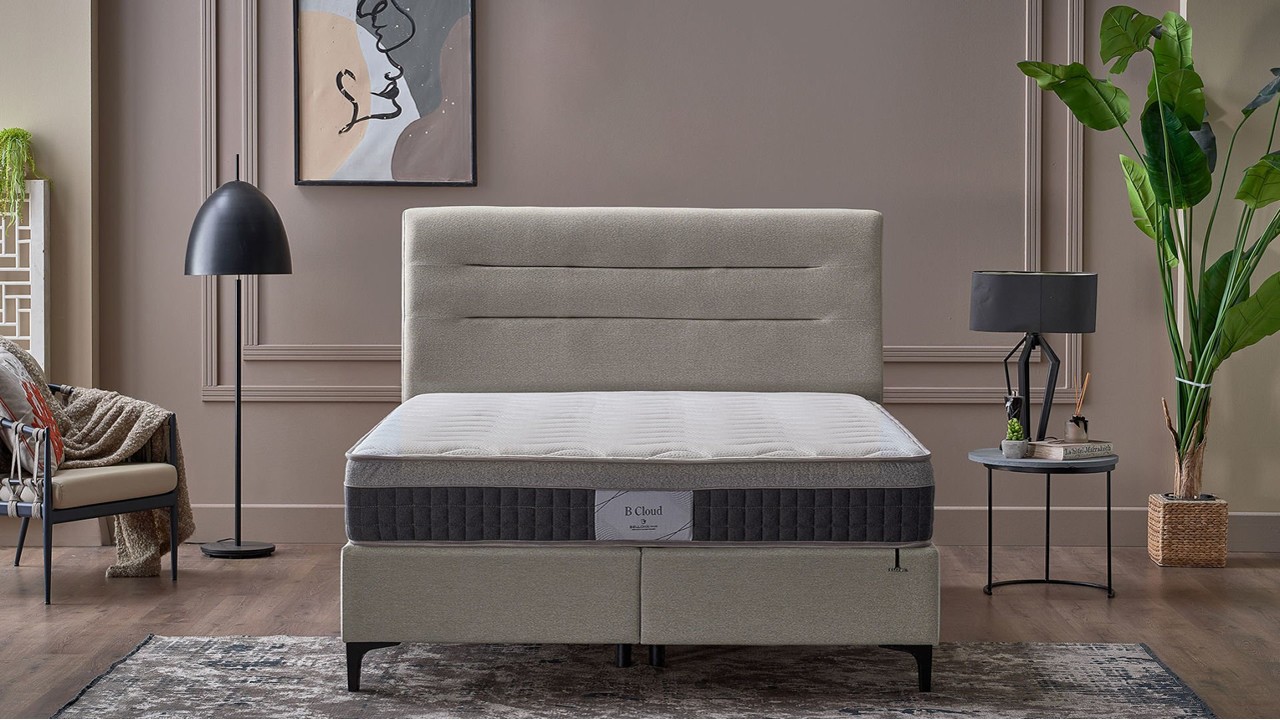 Baza Pat BCloud BELLONA Magazin