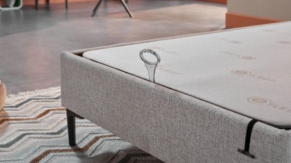 Pat Tineret Mona BELLONA Pat