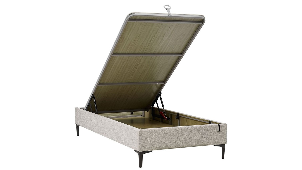 Pat Tineret Mona BELLONA Pat