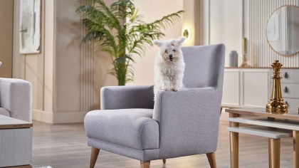 Fotoliu Caldera BELLONA Fotolii - Fotolii TV