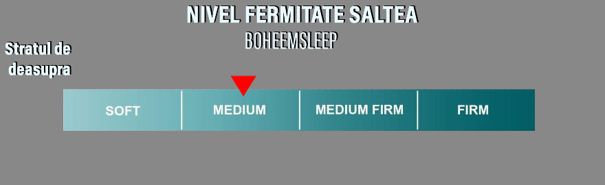 Nivel Fermitate BoheemSleep