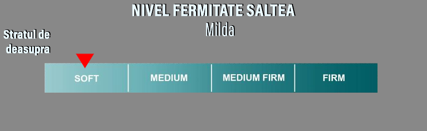 Fermitate Saltea Milda