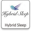Hybrid Sleep