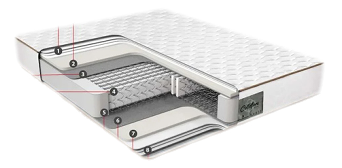 Schita Saltea Cottoflora